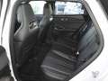 BYD BYD ATTO 2 Active Blanc - thumbnail 11