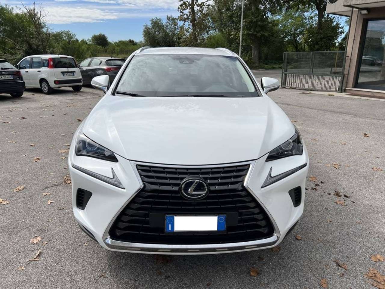 Lexus NX 300 NX 300h 2.5 Business 2wd cvt