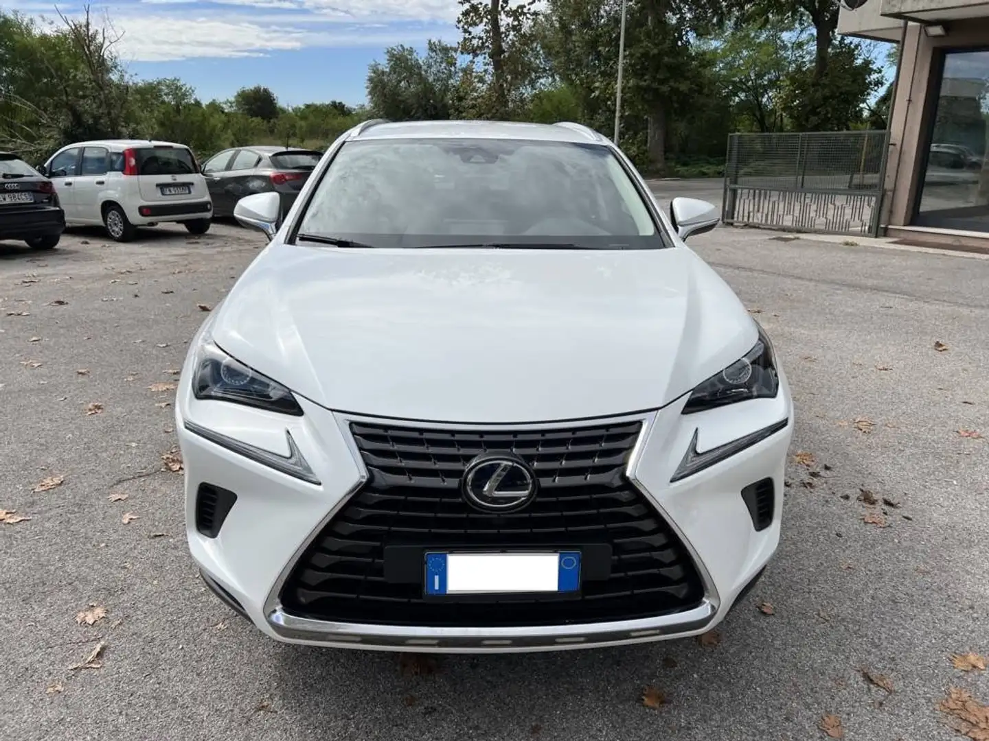 Lexus NX 300 NX 300h 2.5 Business 2wd cvt Blanc - 1
