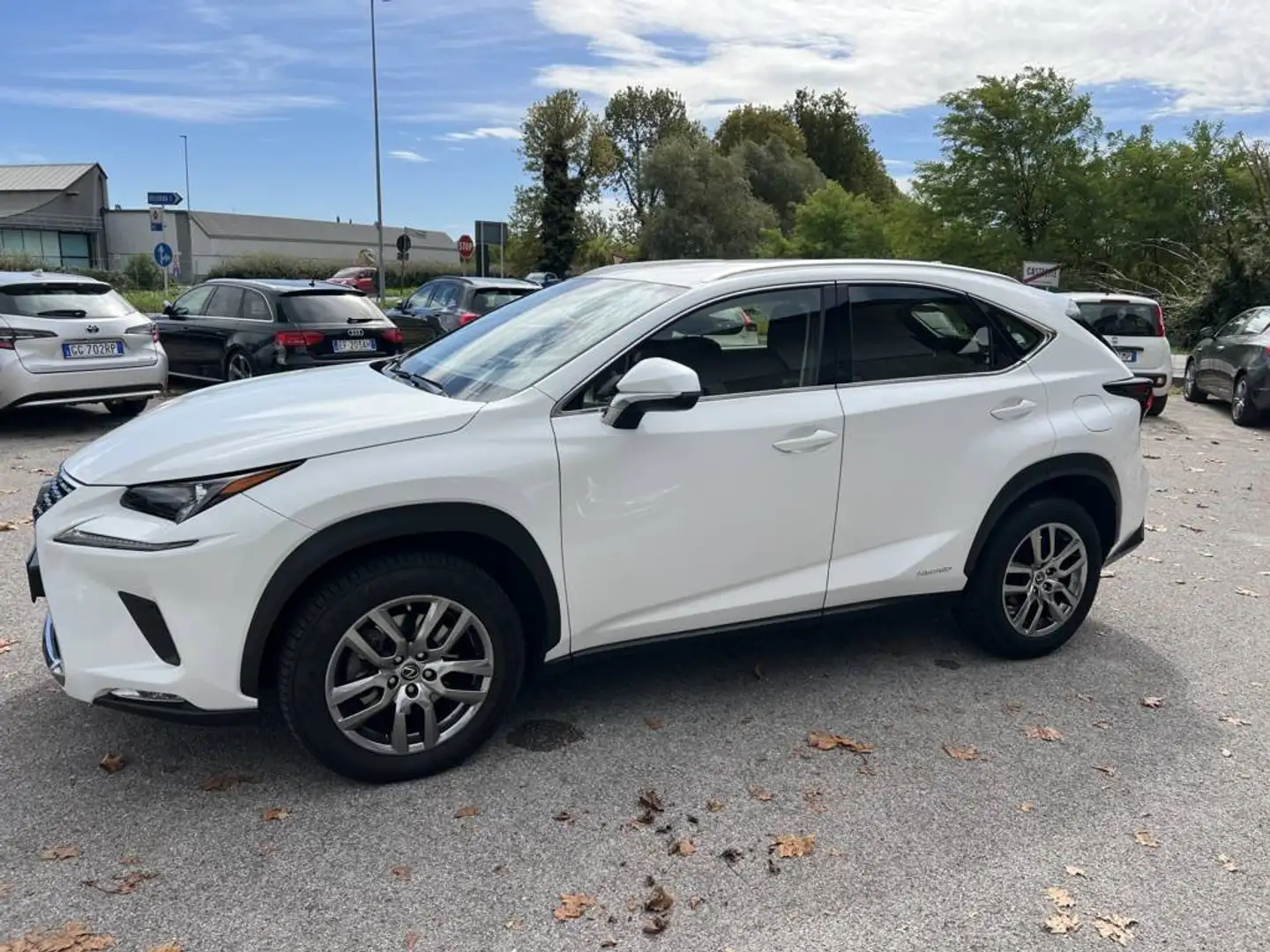Lexus NX 300 NX 300h 2.5 Business 2wd cvt Blanc - 2