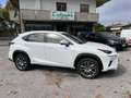 Lexus NX 300 NX 300h 2.5 Business 2wd cvt Blanc - thumbnail 3