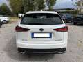 Lexus NX 300 NX 300h 2.5 Business 2wd cvt Blanc - thumbnail 4