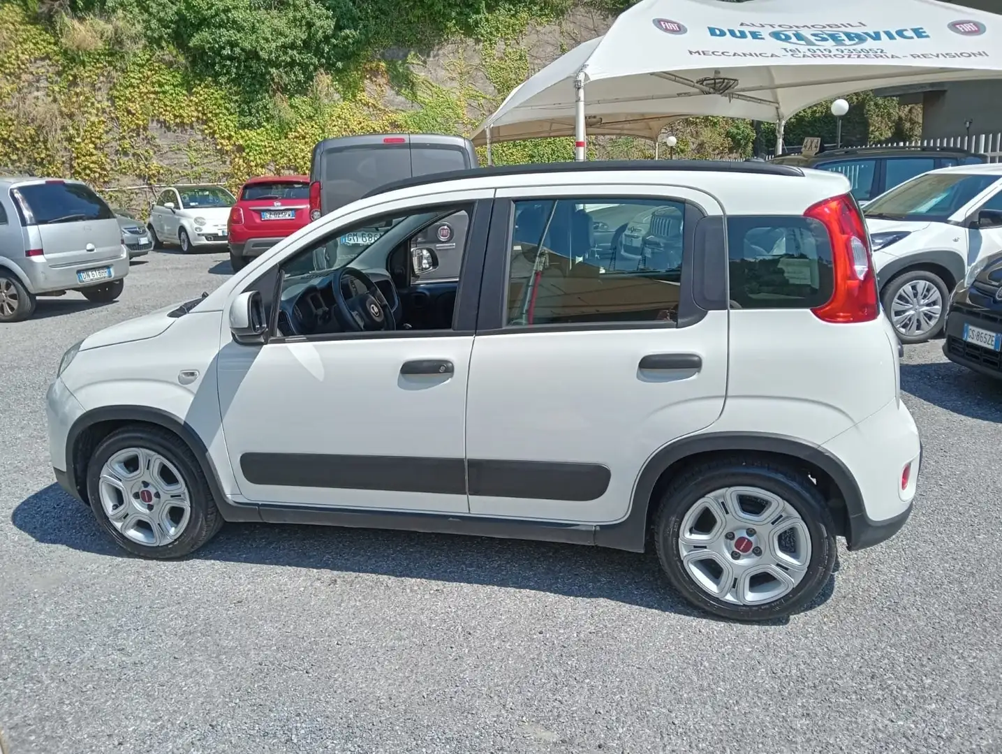 Fiat Panda Panda III 2021 1.0 firefly hybrid City Life s Blanc - 1