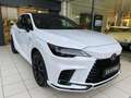 Lexus RX 500h 500h 2.4 hybrid turbo f-sport+ 6at - thumbnail 3