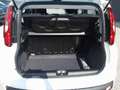 Fiat Panda 4x2 FireFly 70 Pandina Bianco - thumbnail 11