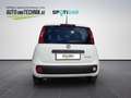 Fiat Panda 4x2 FireFly 70 Pandina Bianco - thumbnail 6