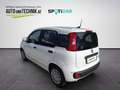 Fiat Panda 4x2 FireFly 70 Pandina Bianco - thumbnail 5