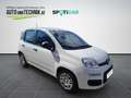 Fiat Panda 4x2 FireFly 70 Pandina Bianco - thumbnail 9
