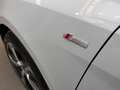 Audi A1 Sportback 30 TFSI Adrenalin Black edition 85kW Blanco - thumbnail 19