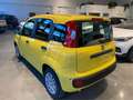 Fiat Panda 1.0 Hybrid/VARI COLORI/PRONTA CONSEGNA Nero - thumbnail 7