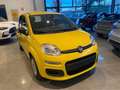 Fiat Panda 1.0 Hybrid/VARI COLORI/PRONTA CONSEGNA Nero - thumbnail 6