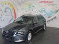 Skoda Superb Kombi 2,0 TDI 4x4 Style DSG *NAVI, ACC, AHK* Grau - thumbnail 28
