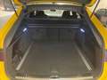 Audi RS6 Audi Sport Avant performance 1.Hand 694km Gelb - thumbnail 14