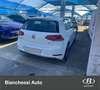 Volkswagen Golf Golf 1.5 TSI 130 CV EVO 5p. Highline BlueMotion - thumbnail 7