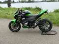 Kawasaki Z 800 Performance / Akra / Barracuda / Dealer onderhoude Groen - thumbnail 3