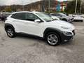 Hyundai KONA Kona  1.6 crdi 48V Xline 2wd 136cv dct Weiß - thumbnail 6