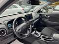 Hyundai KONA Kona  1.6 crdi 48V Xline 2wd 136cv dct Weiß - thumbnail 14
