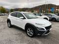 Hyundai KONA Kona  1.6 crdi 48V Xline 2wd 136cv dct Weiß - thumbnail 3