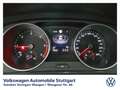 Volkswagen Tiguan Life 2.0 TDI DSG Navi LED ACC SHZ PDC Grau - thumbnail 5