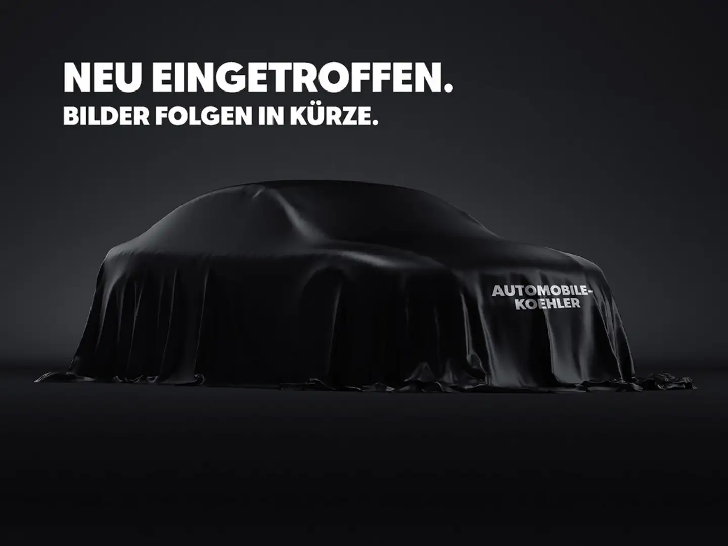 Volkswagen Amarok 3.0 TDI PanAmericana Doppelkabine Grau - 1