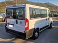 Fiat Ducato COMBINATO 30Q CH1 2.3 Mjt 140CV (M1) 9 posti Bianco - thumbnail 6
