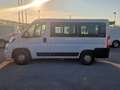 Fiat Ducato COMBINATO 30Q CH1 2.3 Mjt 140CV (M1) 9 posti Bianco - thumbnail 7