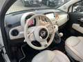 Fiat 500C 1.2 8V DolceVita Klima Xenon Navi Einparkhilfe Weiß - thumbnail 5