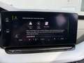 Skoda Octavia Combi 2.0 TDI First Edition Matrix ACC Schwarz - thumbnail 16