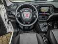 Fiat Doblo 8-Fachbereift - Cargo S & S+PDC+V+H+Tempomat+Klima Weiß - thumbnail 15