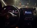 Volkswagen Golf Plus Highline 1,6 TDI DPF DSG - thumbnail 1