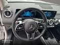 Mercedes-Benz EQB 250 PROG+NIGHT+PLUS-PAKET+360+MEMORY+KEYLESS Weiß - thumbnail 14