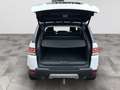 Land Rover Range Rover Sport HSE (MERIDIAN-PANO-AHK-LED) Weiß - thumbnail 13