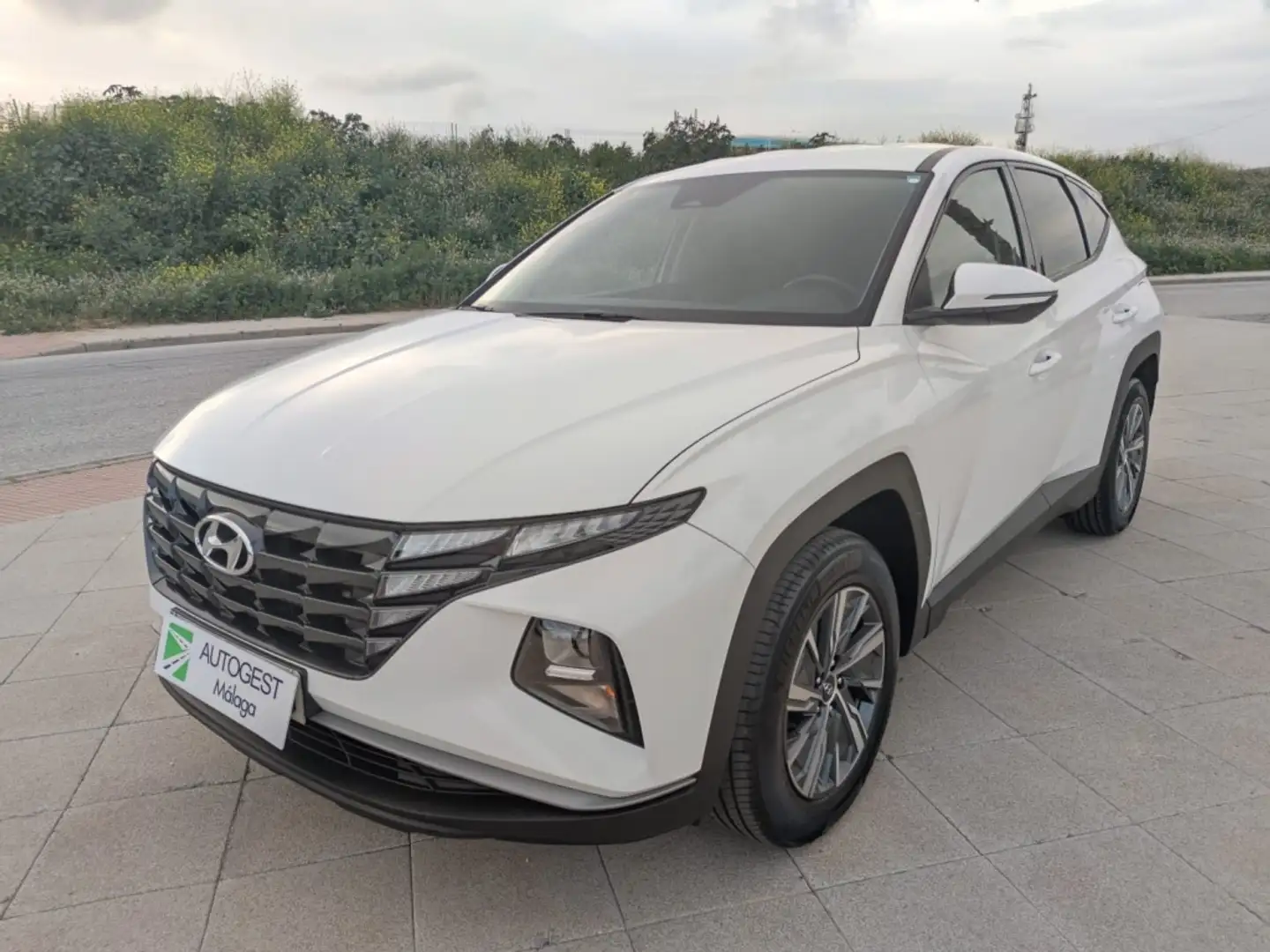 Hyundai TUCSON 1.6 TGDI Klass Safe 4x2 Blanco - 2