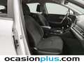 Kia Sportage 1.6 CRDi MHEV Business 4x2 DCT 136 Weiß - thumbnail 19