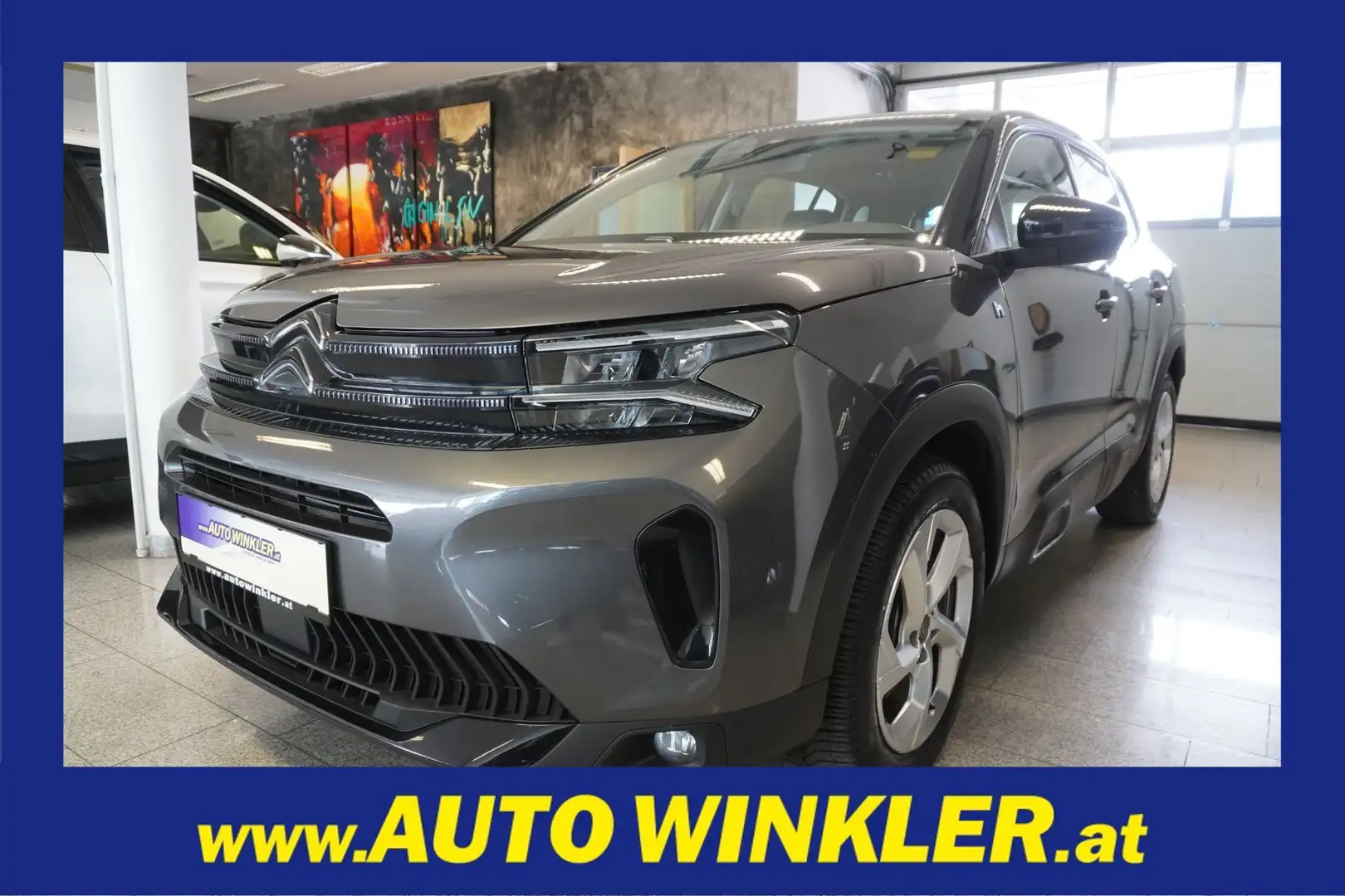 Citroen C5 Aircross 225e PHEV MY23/LED/Navi/Leder Grau - 1