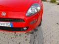 Fiat Punto Punto 5p 1.4 natural power Lounge 70cv E6 Red - thumbnail 8