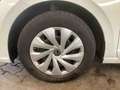 Volkswagen Polo Life 1.0 TSI, NAVI, SHZ, RFK, ACC, EPH, IQ. Weiß - thumbnail 24