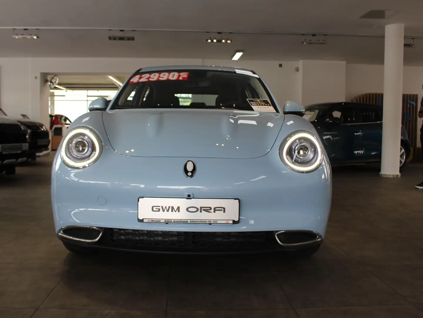 Ora Funky Cat Funky Cat GT Bleu - 2