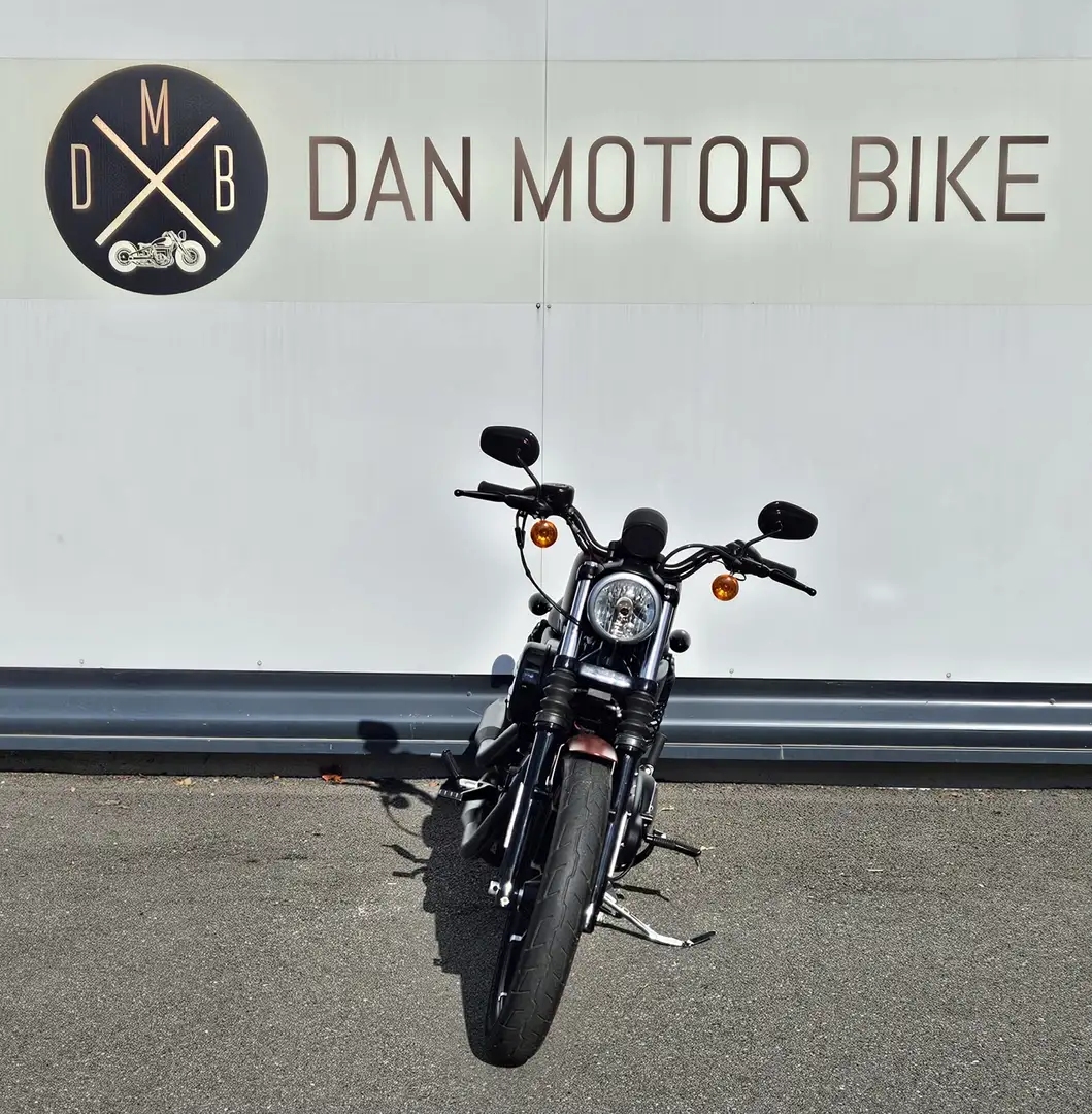 Harley-Davidson Sportster Brun - 2