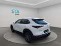 Mazda CX-30 2.5L e-SKYACT G MHEV 103kW Prime-Line MT Blanc - thumbnail 4