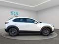 Mazda CX-30 2.5L e-SKYACT G MHEV 103kW Prime-Line MT Blanc - thumbnail 14