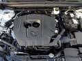 Mazda CX-30 2.5L e-SKYACT G MHEV 103kW Prime-Line MT Blanc - thumbnail 23