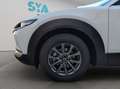 Mazda CX-30 2.5L e-SKYACT G MHEV 103kW Prime-Line MT Blanc - thumbnail 15