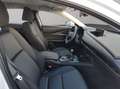 Mazda CX-30 2.5L e-SKYACT G MHEV 103kW Prime-Line MT Blanc - thumbnail 17