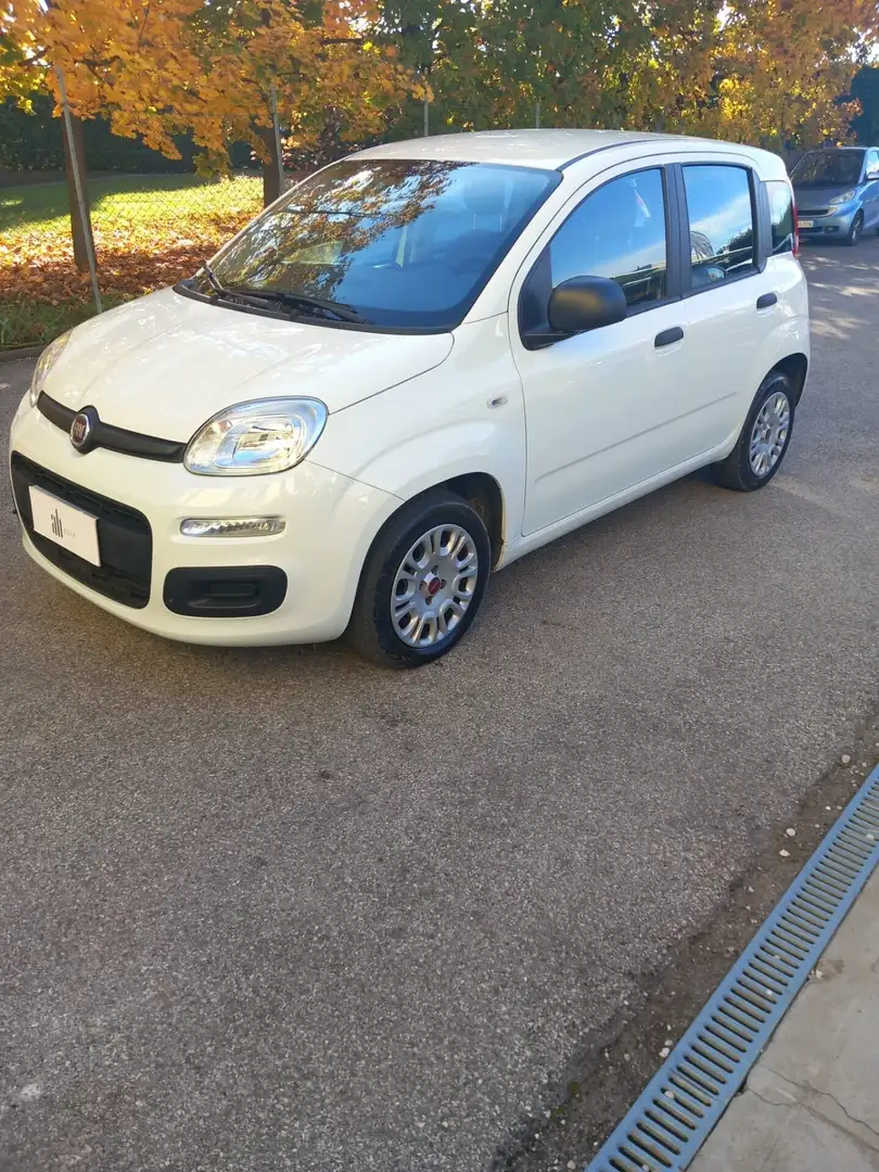 Fiat Panda 1.2 EasyPower Easy Bianco - 1
