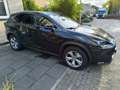 Lexus NX 300h NX 300h AWD President Line Zwart - thumbnail 14