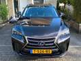 Lexus NX 300h NX 300h AWD President Line Zwart - thumbnail 19