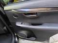 Lexus NX 300h NX 300h AWD President Line Zwart - thumbnail 10