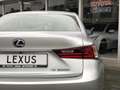Lexus IS 300 300h 223PK Business Line | Navigatie, Cruise contr Grau - thumbnail 8