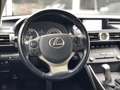 Lexus IS 300 300h 223PK Business Line | Navigatie, Cruise contr Szürke - thumbnail 13